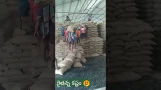 మా కష్టాలు. #agriculture #raithurajyam #shourt