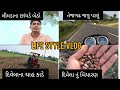 Gujarati Village Vlog || Gujarati Life Style Vlogs || Coking Vlog ⚡ Farming Vlog