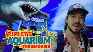 RIPLEY'S AQUARIUM 2023 🦈🐠💦 | Full Walkthrough | GATLINBURG TENNESSEE - TN Adventures Episode 34