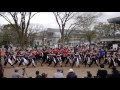 総踊り　「うらじゃ音頭」第12回さくらよさこい 岡崎公園