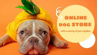 Best Dog Shop In Jaipur | Online Dog Shop In Jaipur | Best Pet Store In Jaipur | Buy Dog Online