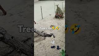 Tree chor ganv me ghus gya funny vlogs #agriculture #shorts