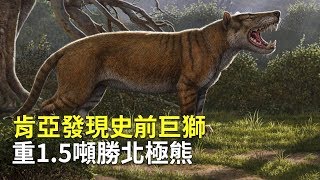 肯亞發現史前巨獅  重1.5噸勝北極熊【大千世界】史上最大肉食哺乳類動物化石