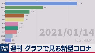 週刊 グラフで見る新型コロナ（2021年1月15日）