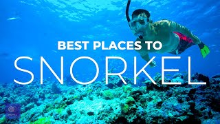 Best Places to Snorkel | You MUST EXPLORE These Best Snorkeling Spots in the Wor