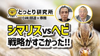 シマリスvsヘビ戦略がすごかった！【動物行動学】／小林 朋道 教授（公立鳥取環境大学 副学長）その②