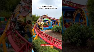 Slinky Dog Dash 🐶🎢 #dog #rollercoaster #coaster #hollywoodstudios #disney #fast #ride #toystory #fyp