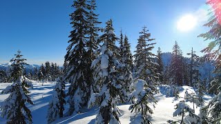 Powdery, bluebird day backcountry skiing on Mount Mulligan