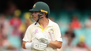 'A little bit reluctant': Ponting dissects Harris' defence | HCL Ashes Analysis