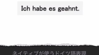 ドイツ人が使うドイツ語表現入門 -Ich habe es geahnt.-