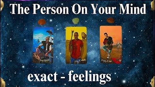 THE PERSON ON YOUR MIND (exact-feelings) 🤔 #timeless Tarot Psychic Reading