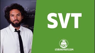 La définition d'espèce - SVT - 6e - Les Bons Profs