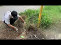 Cleaning up overgrown grass at a sidewalk cafe that has been abandoned for many years