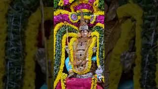 #திருவாரூர் #தேவாரம் #ajabgajab #thiruvarur #temple #tamilnadu #shorts #devotional #songs #status