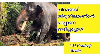 പാപ്പാനെ പേടിപ്പിച്ച് ചിറക്കടവ് തിരുനീലകണ്ഠൻ#keralaelephant@VMPRADEEP