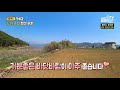 강추 경남 남해 바다 앞 전원주택 펜션 부지 매매 직사각형 이쁜 모양 편리한 생활권과 도로망 남해부동산 발품부동산tv