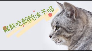 猫能吃鹌鹑冻干吗