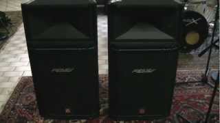 Zu verkaufen: Peavey Boxen HiSys 4XT