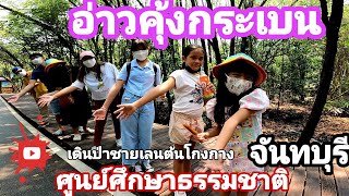 ศูนย์ศึกษาธรรมชาติอ่าวคุ้งกระเบน|เดินดูป่าต้นโกงกาง|ที่พักของสัตว์น้ำตัวเล็กๆ