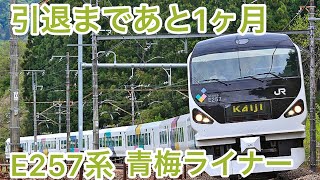 【破格の値段】720円で特急列車のグリーン車に乗ってみた