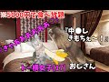 格安で援●をしまくるトー横キッズはどんな生活をしているのか？【猫ミーム】【猫マニ】