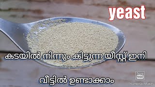 യീസ്റ്റ് ഇനി വീട്ടിൽ ഉണ്ടാക്കാം || കടയിൽ നിന്നും കിട്ടുന്ന പൊടി പോലുള്ള യീസ്റ്റ് || homemade yeast