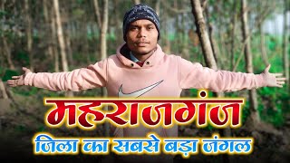 महाराजगंज सिद्धार्थ नगर जिले का सबसे बड़ा जंगल And Best Place To Shoot Video