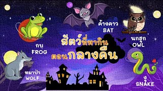 สัตว์ที่หากินตอนกลางคืน-กลางวัน