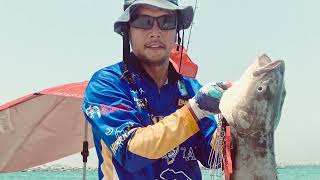 9KG Cobia and Hamour at it's best! Lucky (Angler Andrew)