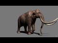 steppe mammoth 3d model