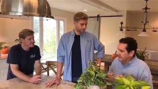 Nature Indoors: 7 Houseplants for Style and Health (Chalet Live)