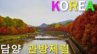 (4K)담양 단풍명소 관방제림 걷기/가을음악 멍때리기 좋은 클래식음악 듣기Walking on Korea/Gwan-Bang-Je-Rim/Dam-Yang City