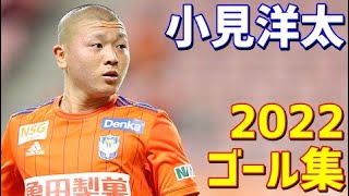 小見洋太　アルビレックス新潟　2022年ゴール集　全5ゴール　J2リーグ・天皇杯