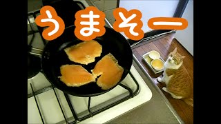 ねこがアシスタントの料理教室　11　サーモンステーキ