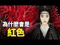 什麼顏料可以讓人用生命去冒險？也可以讓她富可敵國？| #大雄畫裡話外 #顏料的故事 #紅色 #巴清