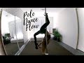 Shadow & Light POLE DANCE FLOW Freestyle - Sandra Flow