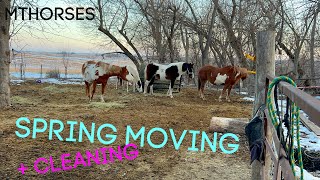 Rearranging horses AGAIN & spring cleaning time | MTHorses