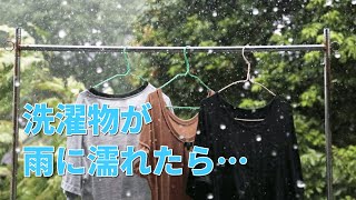 洗濯物が雨に濡れた時の対処法と予防方法！