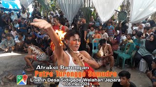 Atraksi Barongan PUTRO TURONGGO SAMUDRO Live in Desa sidigede 2024