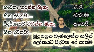 වසර 800 කට පසු ඔබට ඇසෙන මේ වටිනා දේශනය 🔴 මගහැර නොයන්න || විශ්ව ශක්තිය || භාවනා || Meditation