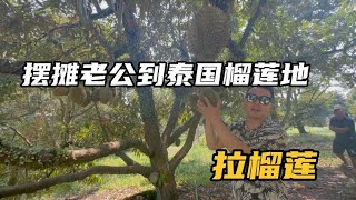 失业摆摊的老公，到泰国榴莲地看榴莲，这次他能否拉到榴莲？