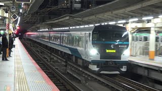 E257系 特急湘南9号 ミュージックホーン+警笛あり 横浜駅