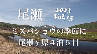 尾瀬2023 Vol,13　ミズバショウの季節に尾瀬ヶ原４泊５日