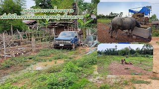 พาชมการเจาะน้ำบาดาลเพื่อใช้ในการเกษตรปลูกหญ้าเลี้ยงควาย🌱🐃