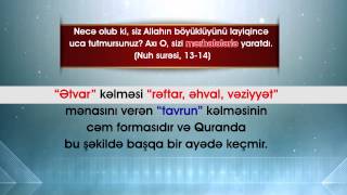 Quranda təkamül yoxdur – 1