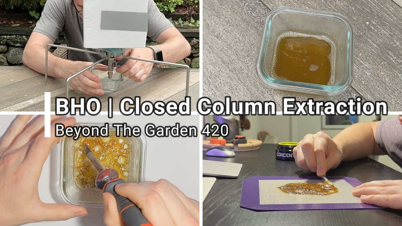 Bho Extraction 4 Youtube