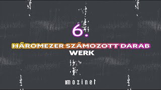 Mozinet Intro: Horváth Kristóf interjú