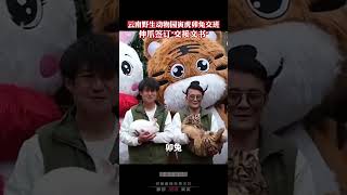 云南野生动物园寅虎卯兔交班，伸爪签订“交接文书”