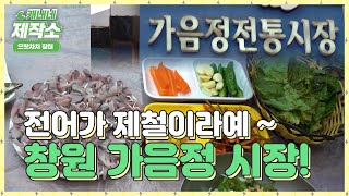 가을엔 전어가 제철 ~ 창원 가음정 전통시장!  I 생방송투데이 I [으랏차차 장터]