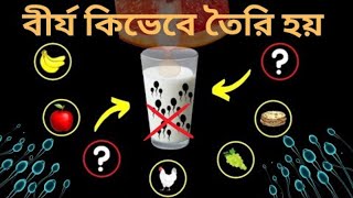 ১ ফোটা বীর্য তৈরি হতে কত সময় লাগে ?। How to semen or sperm produce । samsung galaxy s25 ultra ।